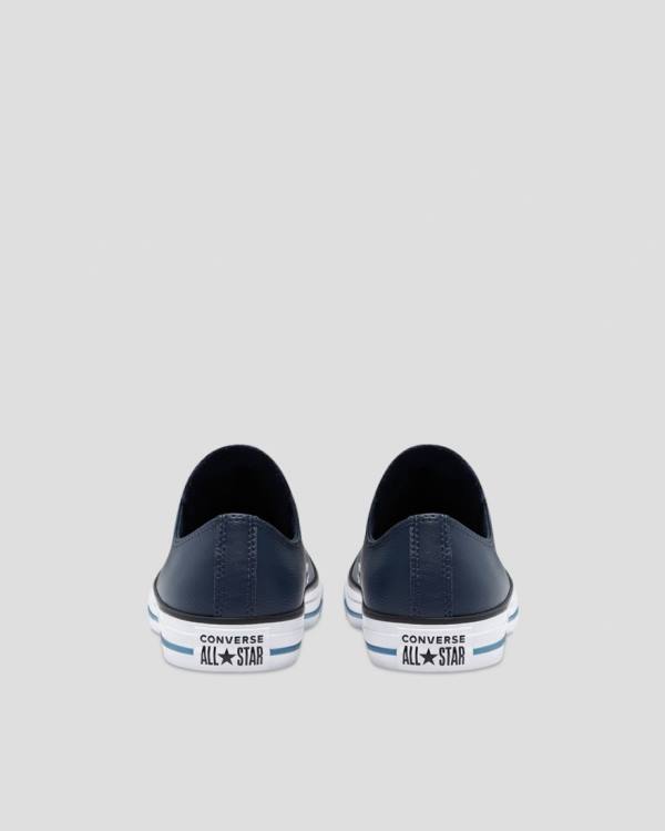 Trampki Niskie Converse Chuck Taylor All Star Summer Daze SL Niebieskie | CV-978BMG
